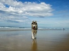 *.*.*