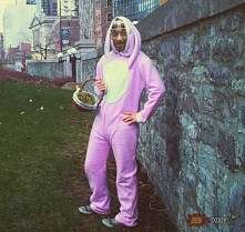 zajączek Wielkanocny:)