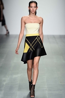 Spring 2015 Ready-to-Wear
David Koma