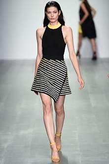 Spring 2015 Ready-to-Wear
David Koma