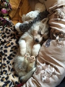 Słodko śpi *.*