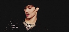 Kai, EXO