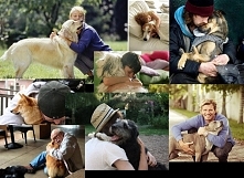 Który pies zasługuje na miano czempiona? To zależy, kto jest sędzią. Wszystkie zdjęcia znalazłem w Sieci i przywłaszczyłem :)