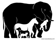 Ile widzisz zwierząt.