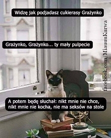 kocham tego kota hahahh :> co prawda to prawda .