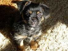 Mój kochany słodziak:*