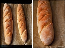 Jak zrobić domowe bagietki czosnkowe – przepis od ilovebake.pl