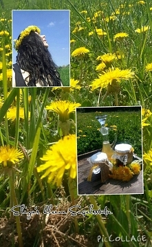 wiosna...ach to Ty..;)