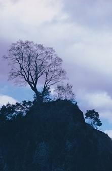 nadzieja zawsze umiera ostatnia ^*^