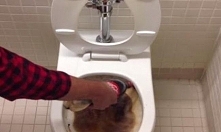 Ten facet wlał coca-colę do toalety… co się potem stało?