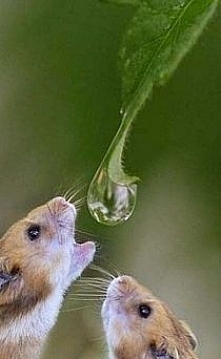 ,,,,