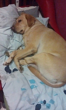 Komuś się tutaj przysnęło ! :D