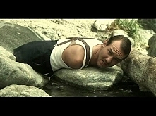 Cyrk Motyli - niesamowita r...