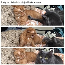 ;'D