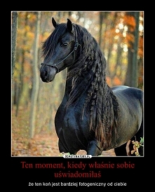 troche...napewno...TAK!