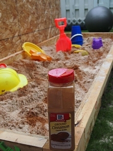 sprinkle cinnamon in sandbox to help keep bugs, worms and CATS away from the sandbox