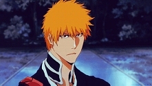 bleach ichigo
