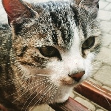 so sweet *.* My photo :)