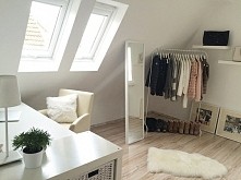room, petfect