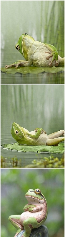 oj boli brzuszek z przejedz...