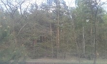 W tym lesie są doły po bombach