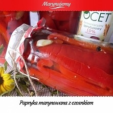 Marynowana cebulka

Składniki:
•Cebula dymka
•Ocet spirytusowy 10% JAMAR - 1/3 szklanki
•Woda - 1 litr
•Pieprz czarny - wg uznania
•Ziele angielskie - wg uznania
•Cukier - 5 dag...