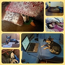 A ja leżę, ale wszystko mam...