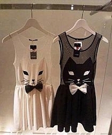 Kici kici "miau" <3