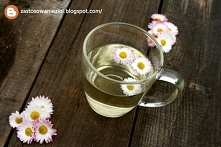 Garść kwiatów stokrotki zal...