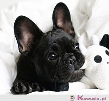 **************************