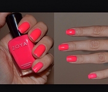 zoya
