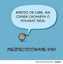 tym razem kiwi ;)