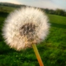 wreszcie czuć wiosnę <3