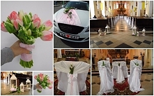 tulipany kościół Wodzisław Śl.