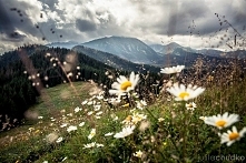 uwielbiam góry <33 

&qu...