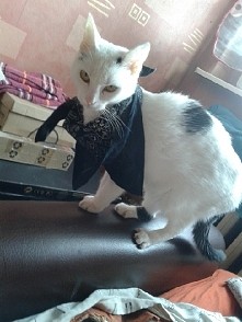 moje maleństwo! ♥