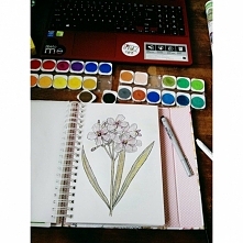 Jeśli chcecie zobaczyć więcej zapraszam na fb na stronę Dark Side