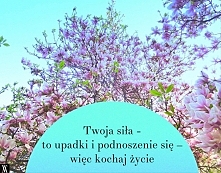 na pudełku czekoladek