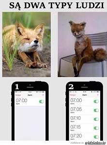 Są dwa typy ludzi...