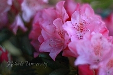 "Helsinki University&q...