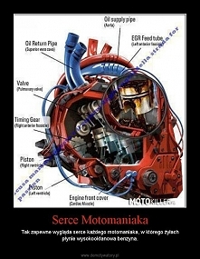 Żyję szybko i nigdy nie pat...