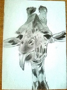 żyrafa ołówkiem i węglem ;-)