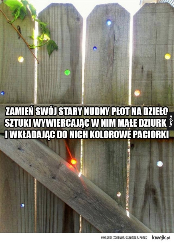 kolorowy płot