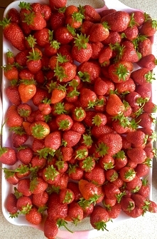 strawberries time 