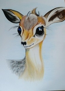 Efekt średnio zadowalający