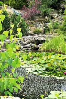 Ogród w Młodzawach - prywatny park w Świętokrzyskiem
Ogród w Młodzawach to jeden z niewielu w Polsce prywatnych ogrodów dostępnych do zwiedzania. Prawie 20 lat temu dwoje pasjon...