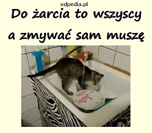 haha kochany kotek ;)