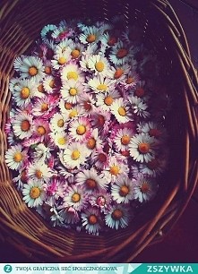 Jeszcze jutro i wakacje