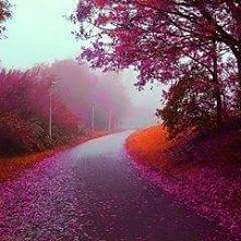 Pełen relaks iść taką drogą ♡