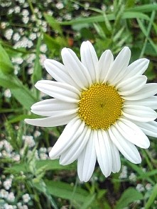 Uwielbiam fotografować :-)  podoba się?